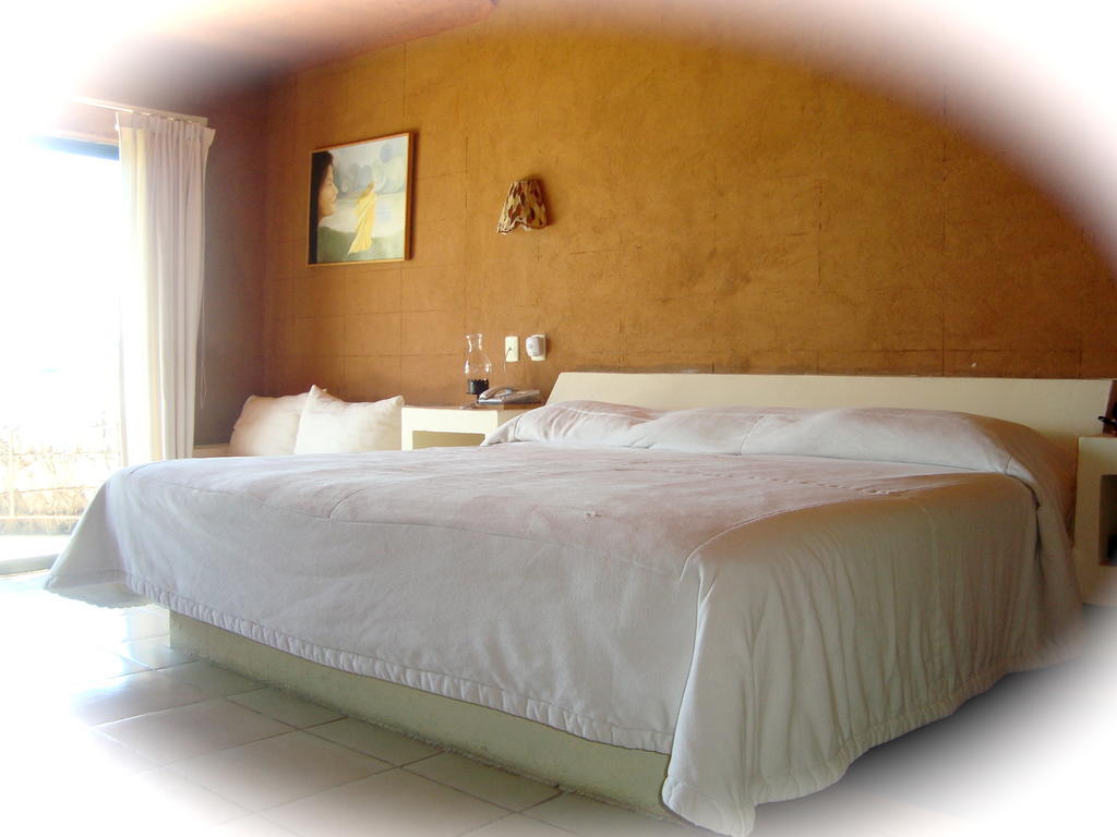Hôtel Vida En El Lago à Tepecoacuilco de Trujano Chambre photo